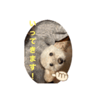 スノーウィー①（個別スタンプ：21）