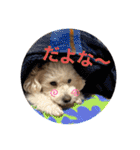 スノーウィー①（個別スタンプ：25）