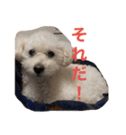 スノーウィー①（個別スタンプ：29）