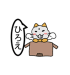 つばさねこのもふにゃんその1（個別スタンプ：1）