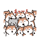 犬のワンザブロウ まったりスタンプ（個別スタンプ：15）