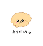 アプリコットトイプードルのみねこ（個別スタンプ：1）