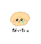 アプリコットトイプードルのみねこ（個別スタンプ：3）
