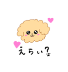 アプリコットトイプードルのみねこ（個別スタンプ：8）