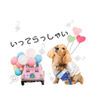 panchiのスタンプ（個別スタンプ：2）