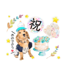 panchiのスタンプ（個別スタンプ：7）