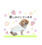 panchiのスタンプ（個別スタンプ：9）