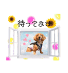 panchiのスタンプ（個別スタンプ：14）