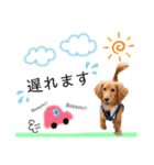 panchiのスタンプ（個別スタンプ：15）