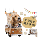 panchiのスタンプ（個別スタンプ：21）