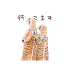 おさかなの名前のミーアキャット（個別スタンプ：14）