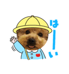 いちごワンだよ2（個別スタンプ：3）
