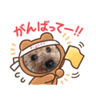 いちごワンだよ2（個別スタンプ：4）