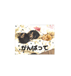 ミルくぅココの日常 ②（個別スタンプ：3）