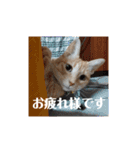 ミルくぅココの日常 ②（個別スタンプ：4）