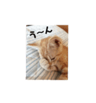 ミルくぅココの日常 ②（個別スタンプ：6）