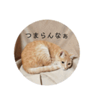 ミルくぅココの日常 ②（個別スタンプ：8）