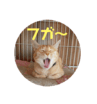 ミルくぅココの日常 ②（個別スタンプ：14）
