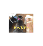 ミルくぅココの日常 ②（個別スタンプ：15）