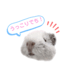 もるすた★（個別スタンプ：3）