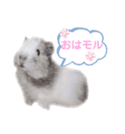 もるすた★（個別スタンプ：9）