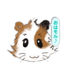 もるすた★（個別スタンプ：13）