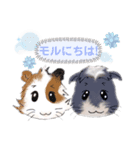 もるすた★（個別スタンプ：15）