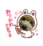 いちごワンだよ3（個別スタンプ：5）