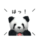 ハッピーハロウィン（上野より愛をこめて）（個別スタンプ：13）