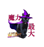 ハロウィン仮装が似合いすぎる黒猫スタンプ（個別スタンプ：1）