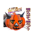 ハロウィン仮装が似合いすぎる黒猫スタンプ（個別スタンプ：3）