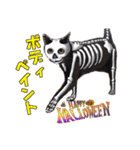 ハロウィン仮装が似合いすぎる黒猫スタンプ（個別スタンプ：4）