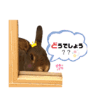 うさぎのうーたん̤ᙏ̤̫第⑤弾（個別スタンプ：29）