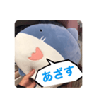 煽るよ！サメちゃん！！（個別スタンプ：21）
