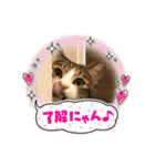 ぴよ＆トロ その2（個別スタンプ：4）