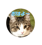 ぴよ＆トロ その2（個別スタンプ：9）