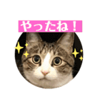 ぴよ＆トロ その2（個別スタンプ：24）