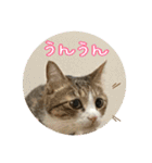 ぴよ＆トロ その2（個別スタンプ：26）