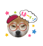 秋っぽい動物たちのスタンプ˚✧₊⁎（個別スタンプ：3）