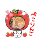秋っぽい動物たちのスタンプ˚✧₊⁎（個別スタンプ：4）