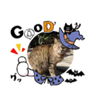秋っぽい動物たちのスタンプ˚✧₊⁎（個別スタンプ：7）