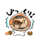 秋っぽい動物たちのスタンプ˚✧₊⁎（個別スタンプ：13）