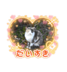 秋っぽい動物たちのスタンプ˚✧₊⁎（個別スタンプ：16）