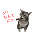 ぽっちゃりネコのふぅーちゃん2（個別スタンプ：4）