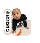 たいがくん3（個別スタンプ：6）