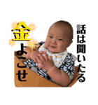 たいがくん3（個別スタンプ：11）
