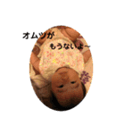NASHIs stanp（個別スタンプ：14）