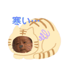 NASHIs stanp（個別スタンプ：16）