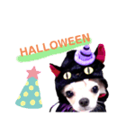 HAPPY！HALLOWEENキキララ（個別スタンプ：2）