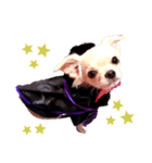 HAPPY！HALLOWEENキキララ（個別スタンプ：15）